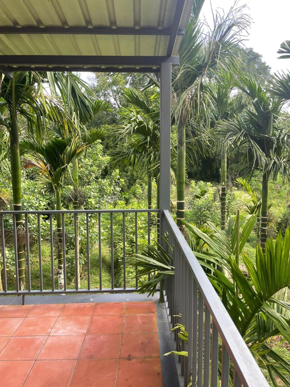 Biranji Aqua Retreat Hotel Chikmagalūr Buitenkant foto